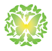 Green butterflies in a circular shape.  Logo of Jubilee Women's Center
